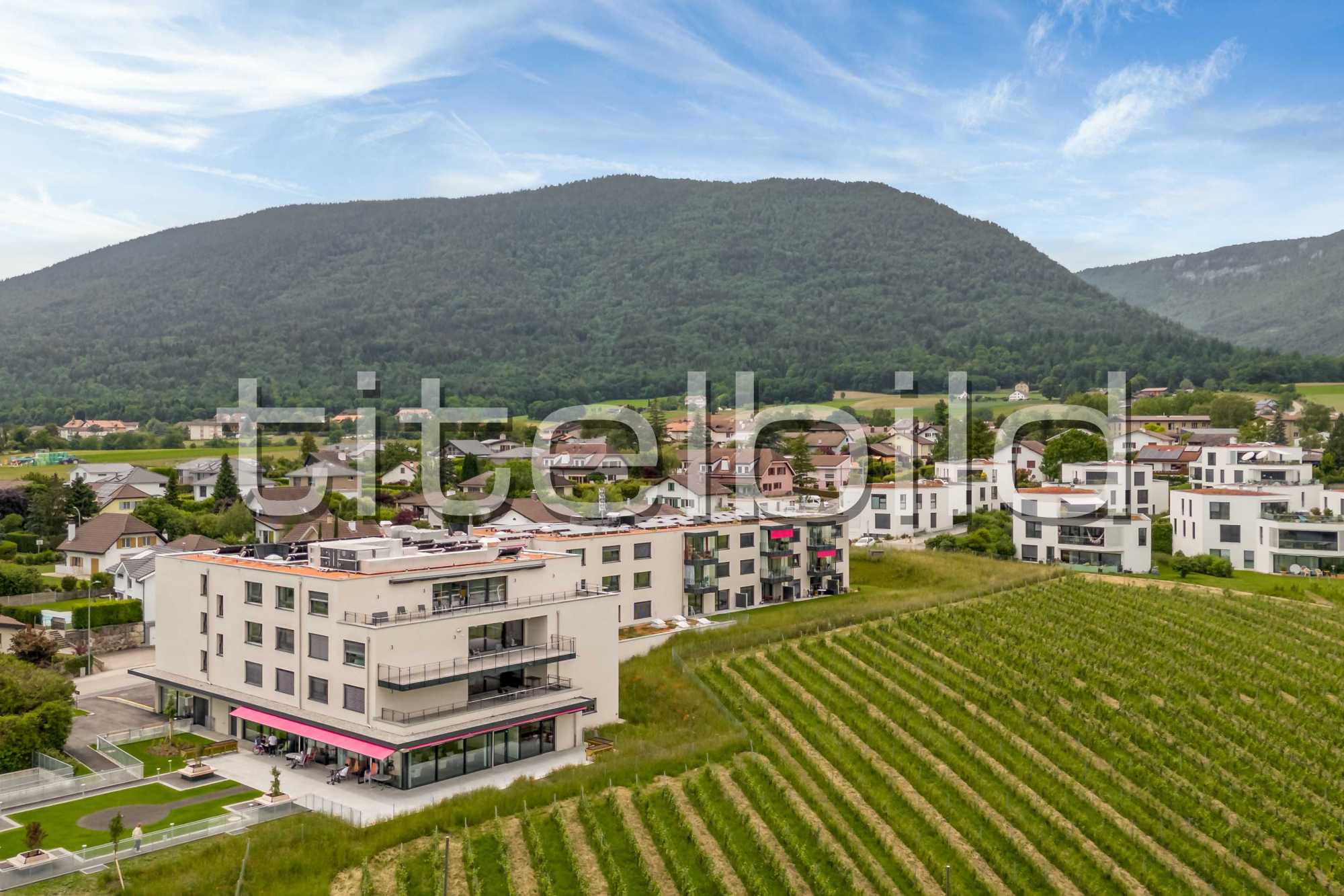 Projektbild-Nr. 0: Maison de retraite «Carpe Diem»