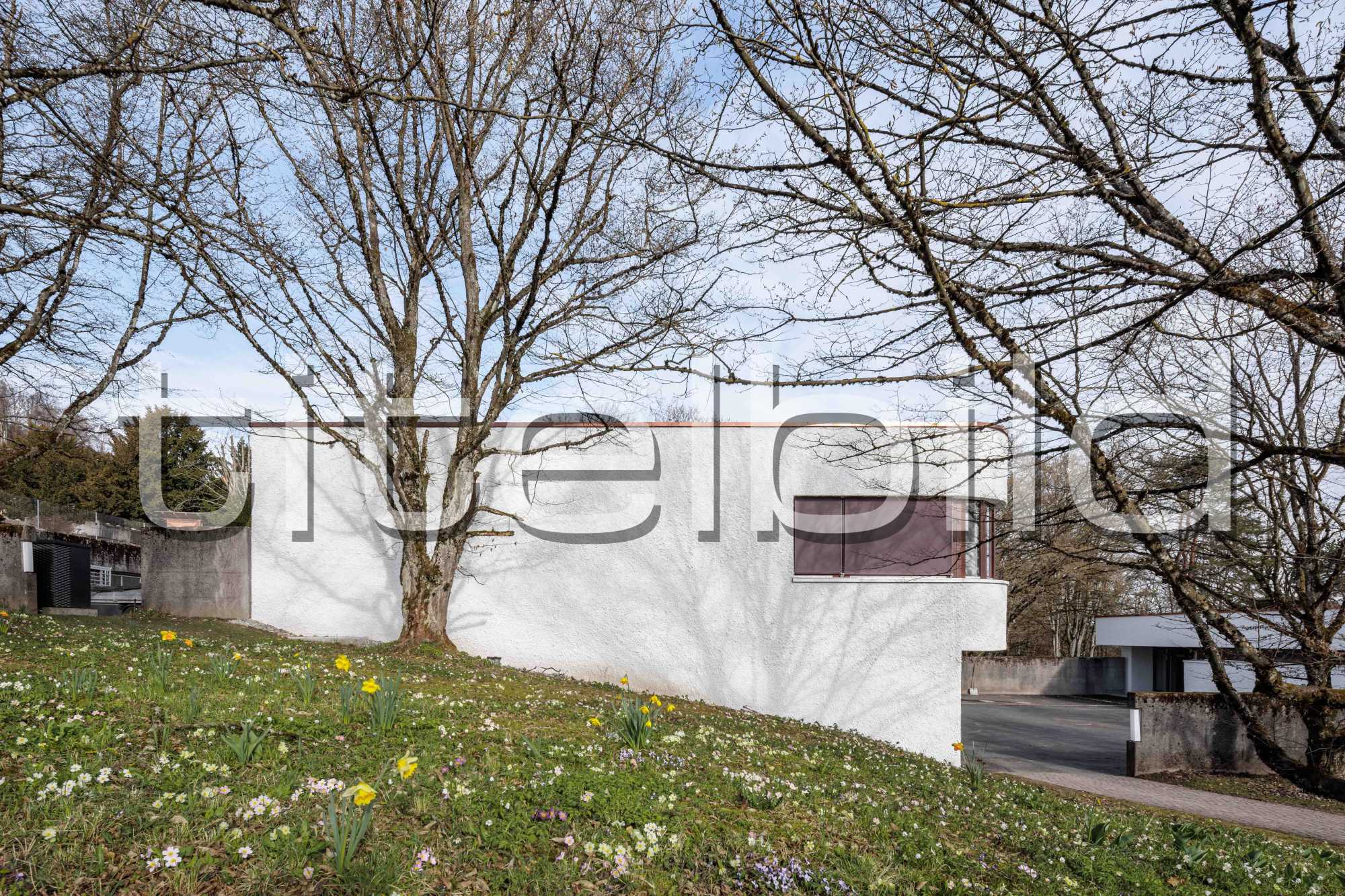 Projektbild-Nr. 6: Friedhof Uetliberg