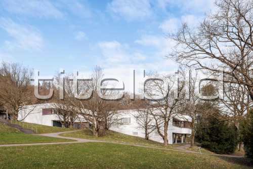 Bild-Nr: 2des Objektes Friedhof Uetliberg