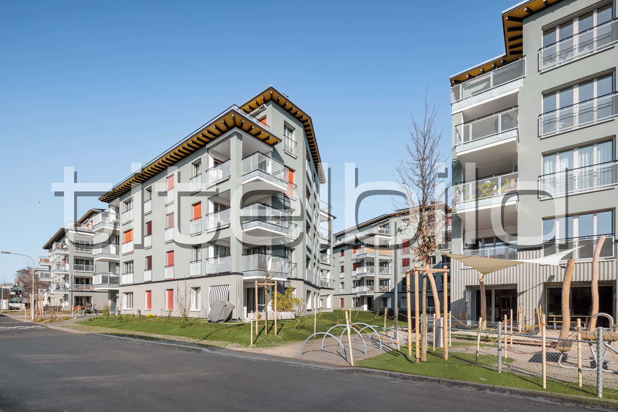 Projektbild-Nr. 4: Ersatzneubau Schönauring