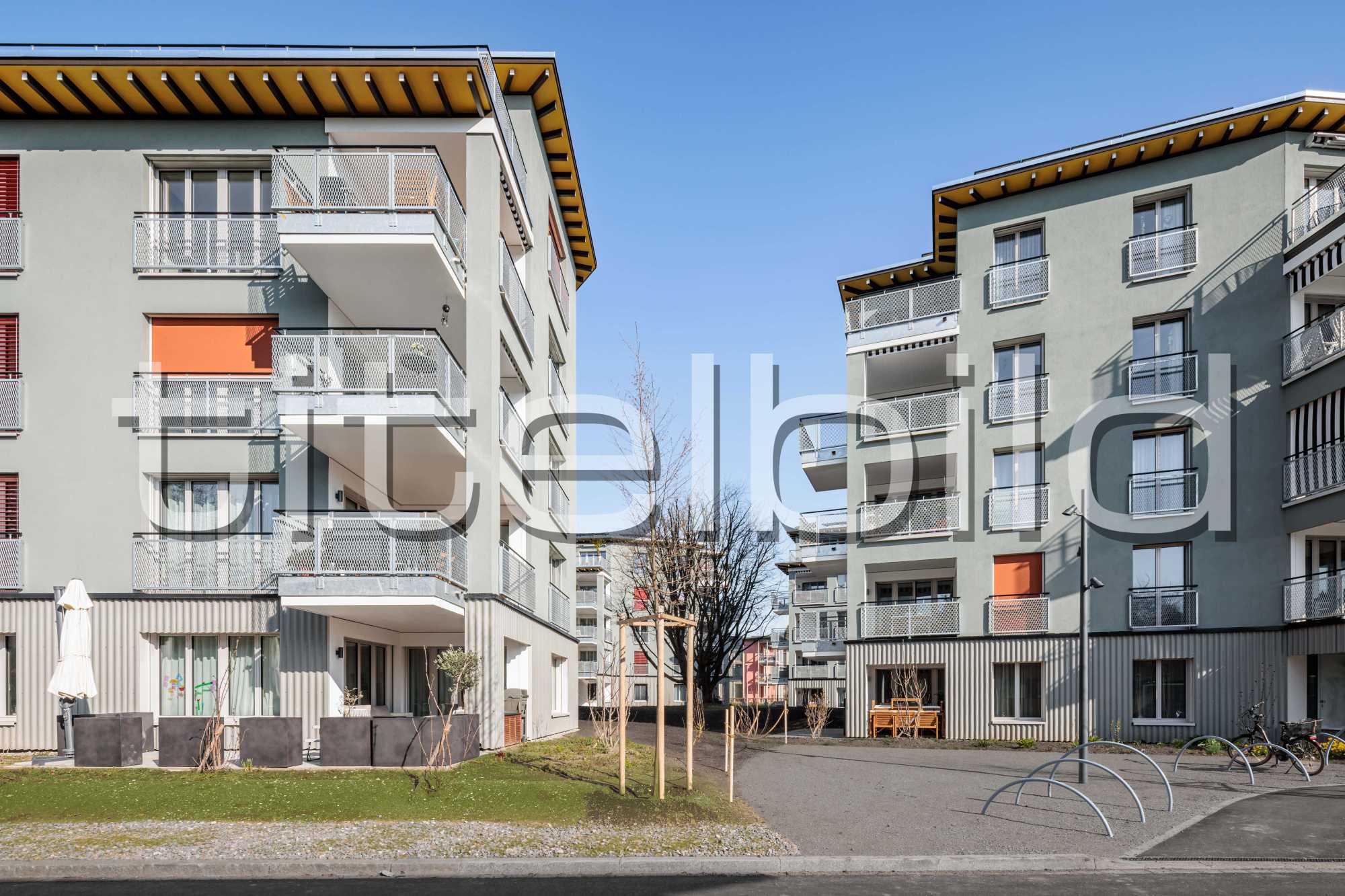 Projektbild-Nr. 5: Ersatzneubau Schönauring