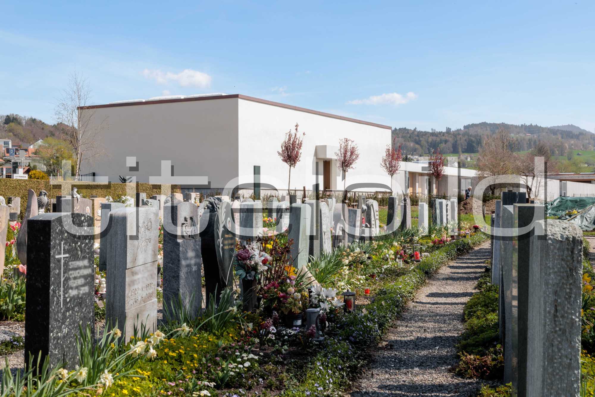 Projektbild-Nr. 0: Sanierung und Erweiterung Friedhof Wetzikon