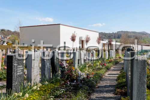 Bild-Nr: 1des Objektes Sanierung und Erweiterung Friedhof Wetzikon